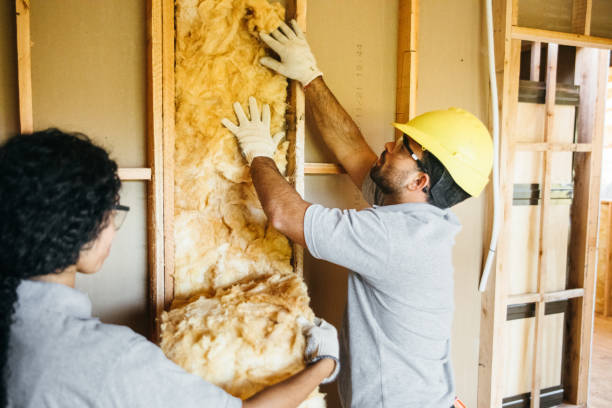 Best Insulation Air Sealing  in Algonquin, IL